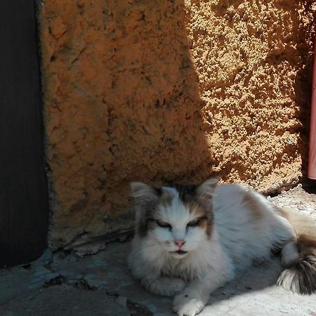 شقة رونسيجليونى  في La Vecchia Mola المظهر الخارجي الصورة